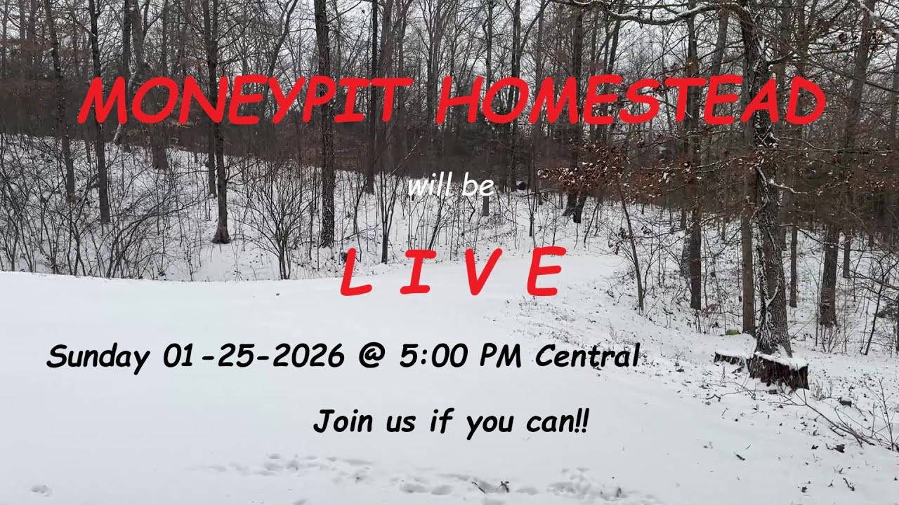 Moneypit Homestead is going LIVE this SUNDAY 01-25-2026 @ 5 PM Central