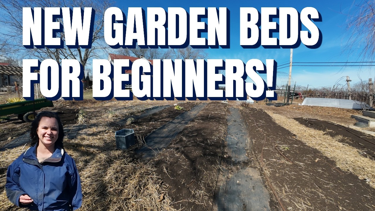 How To Start A No Till Garden From Scratch, Beginner Friendly