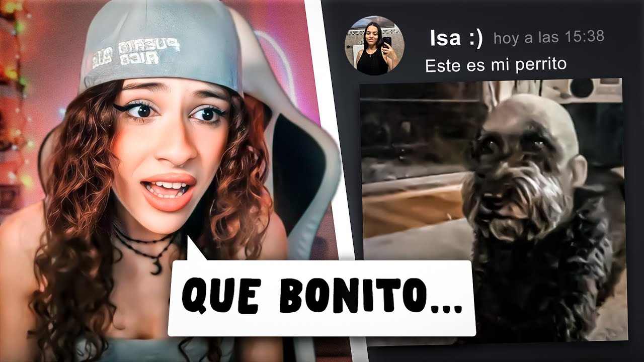 REACCIONANDO A LAS MASCOTAS DE MIS SEGUIDORES
