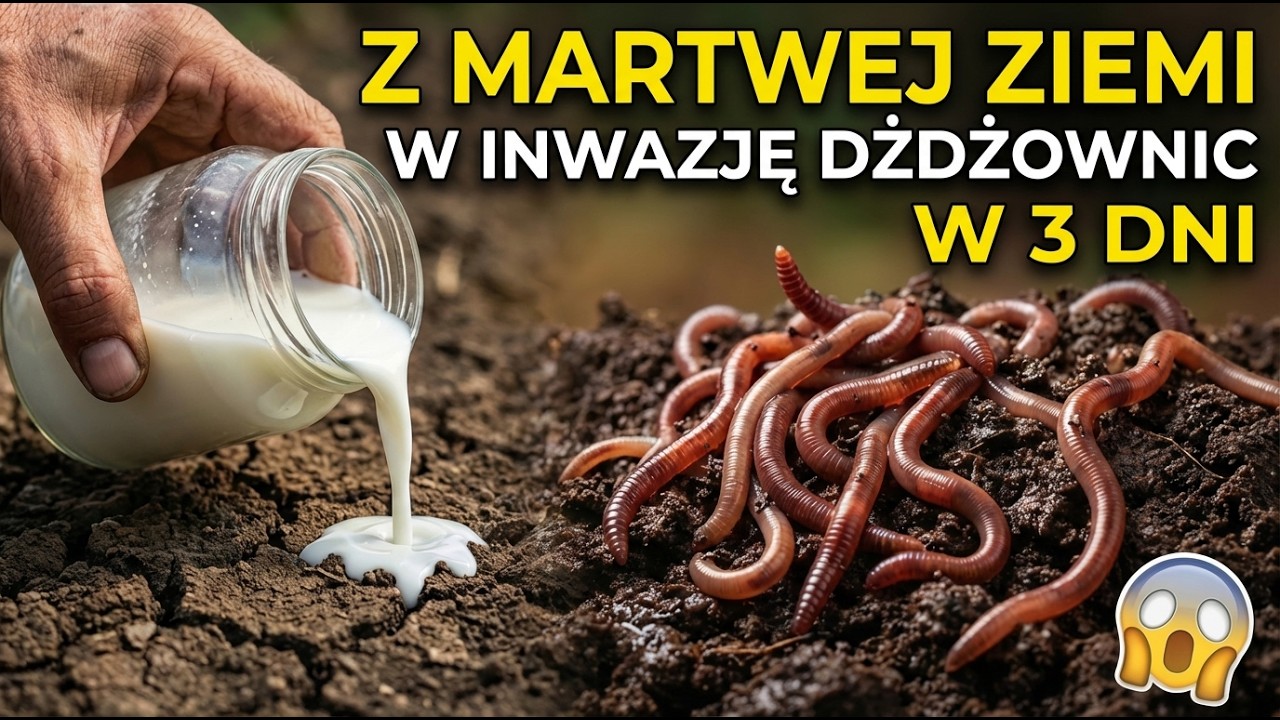 Wlałem To Do Mojego Martwego Ogrodu… I W 3 Dni Pojawiły Się Tysiące Dżdżownic!