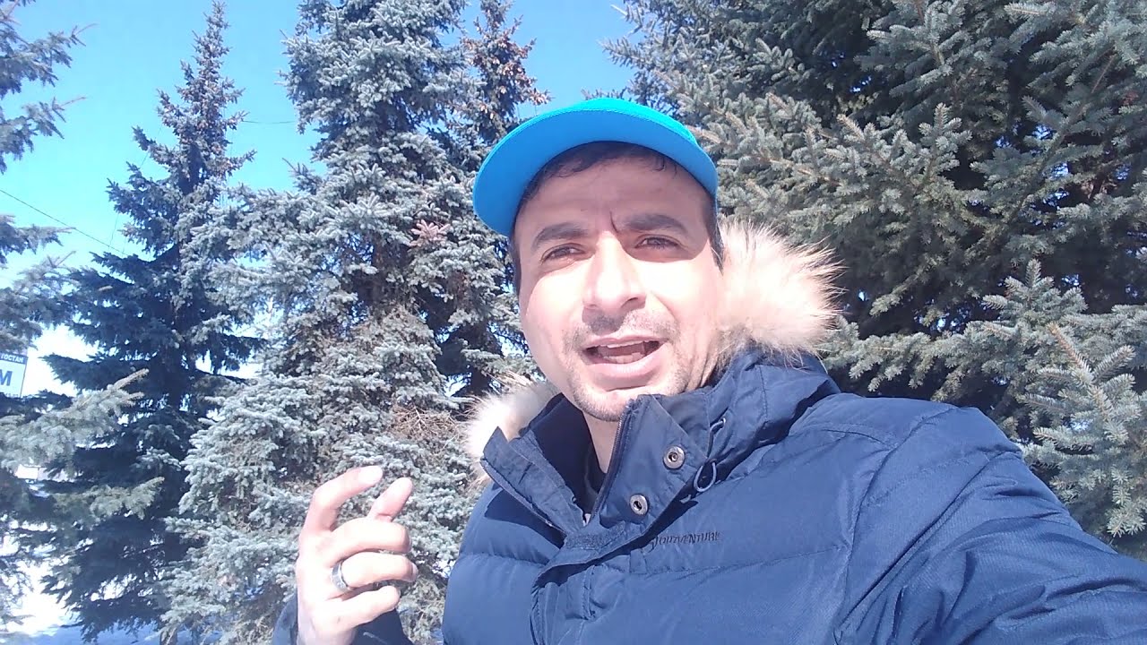 السر وراء دراسة الطب في روسيا واوكرانيا 🤔🇺🇦🇷🇺