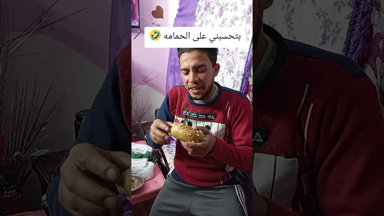 بيحسدوني على اكله الحمام 🤣🤣
