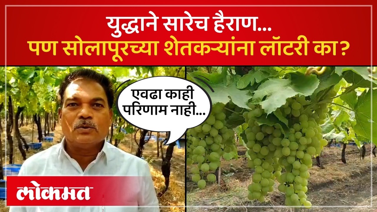 युद्धामुळे अडकलेल्या शेतमालाला युरोपची बाजारपेठ, द्राक्ष उत्पादकांना दिलासा का? | SA4 SK3