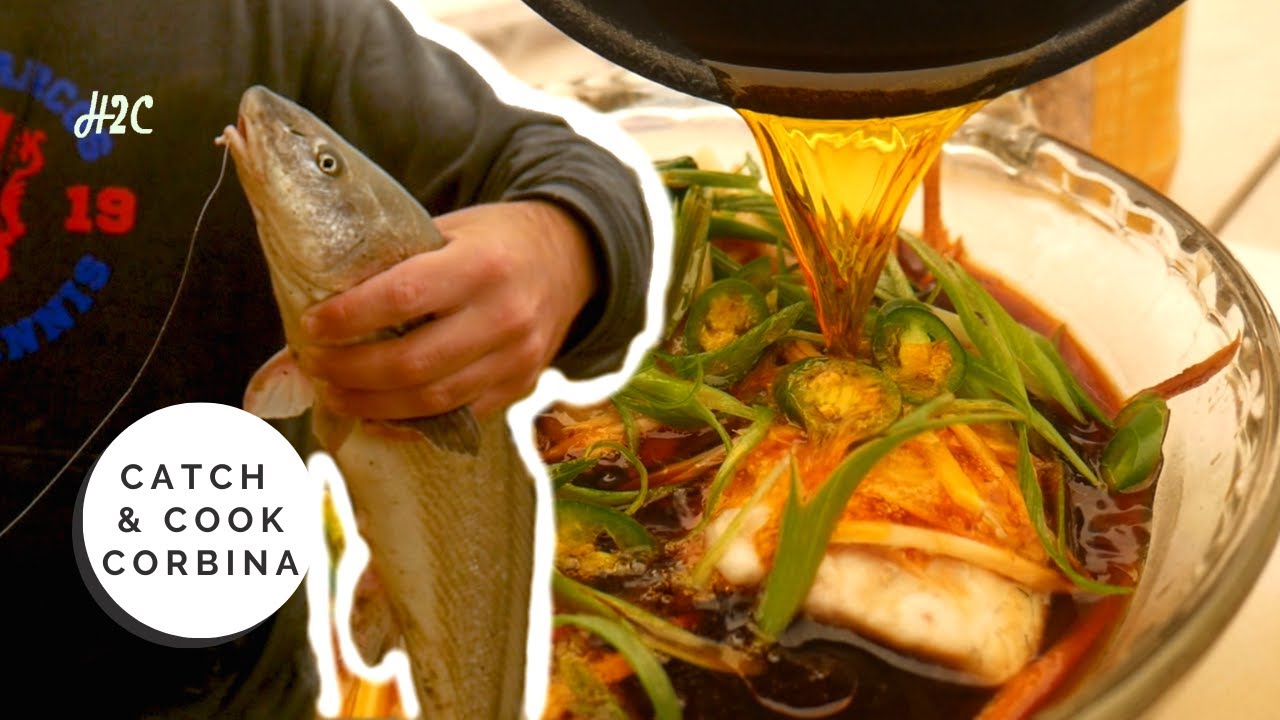 Corbina Sizzling Sesame Ginger Catch and Cook