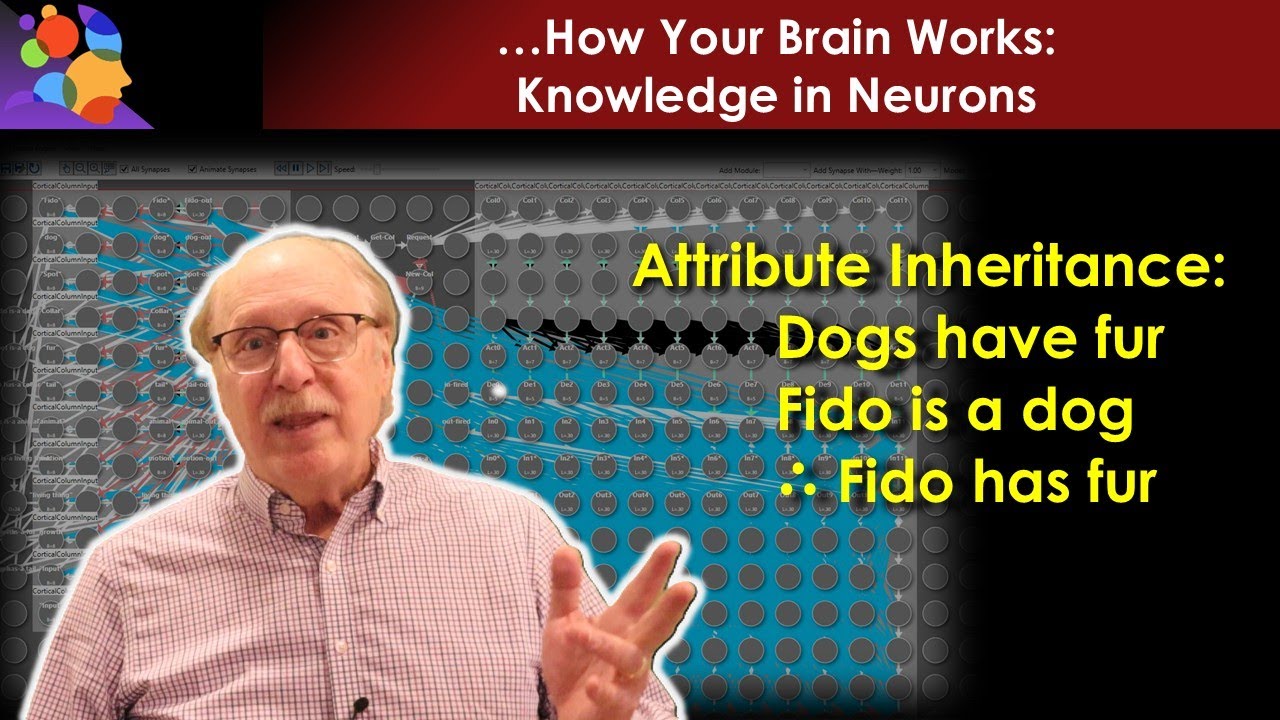Built With Neurons: A Knowledge Graph with Inherited Attributes