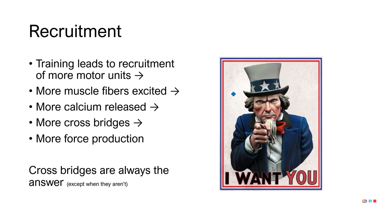 PE 381 - Lecture 12-1-3 - Neural adaptations