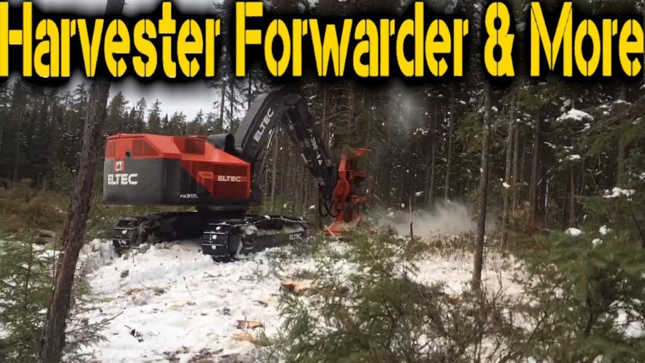 ELTEC Feller Buncher - Logloader & Harvester
