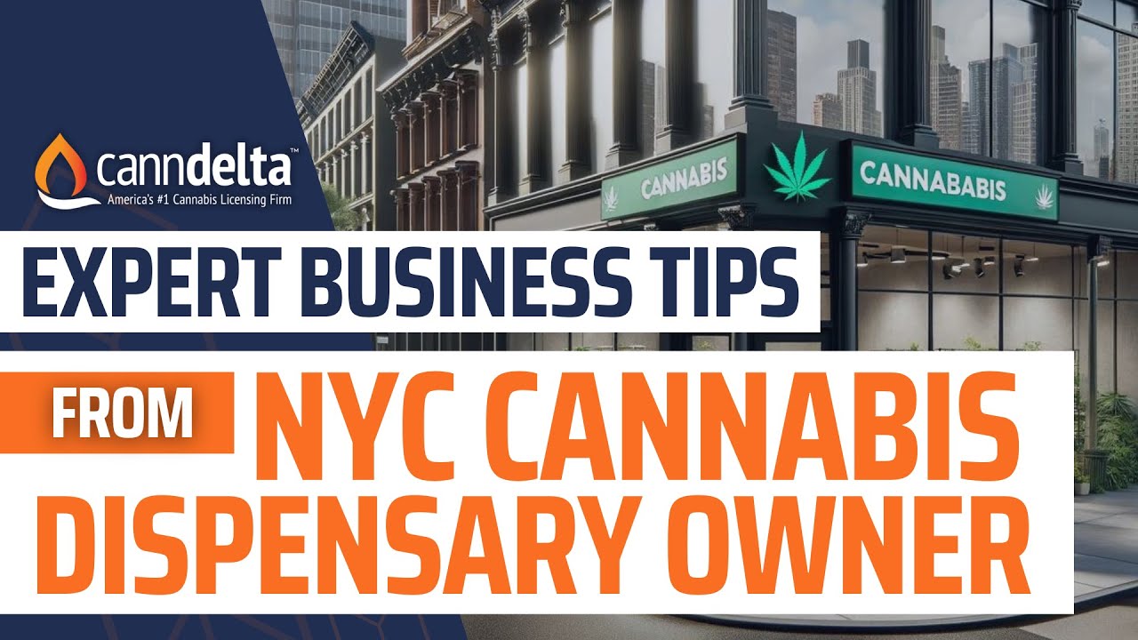 Business Tips from a Cannabis Dispensary Owner in New York
