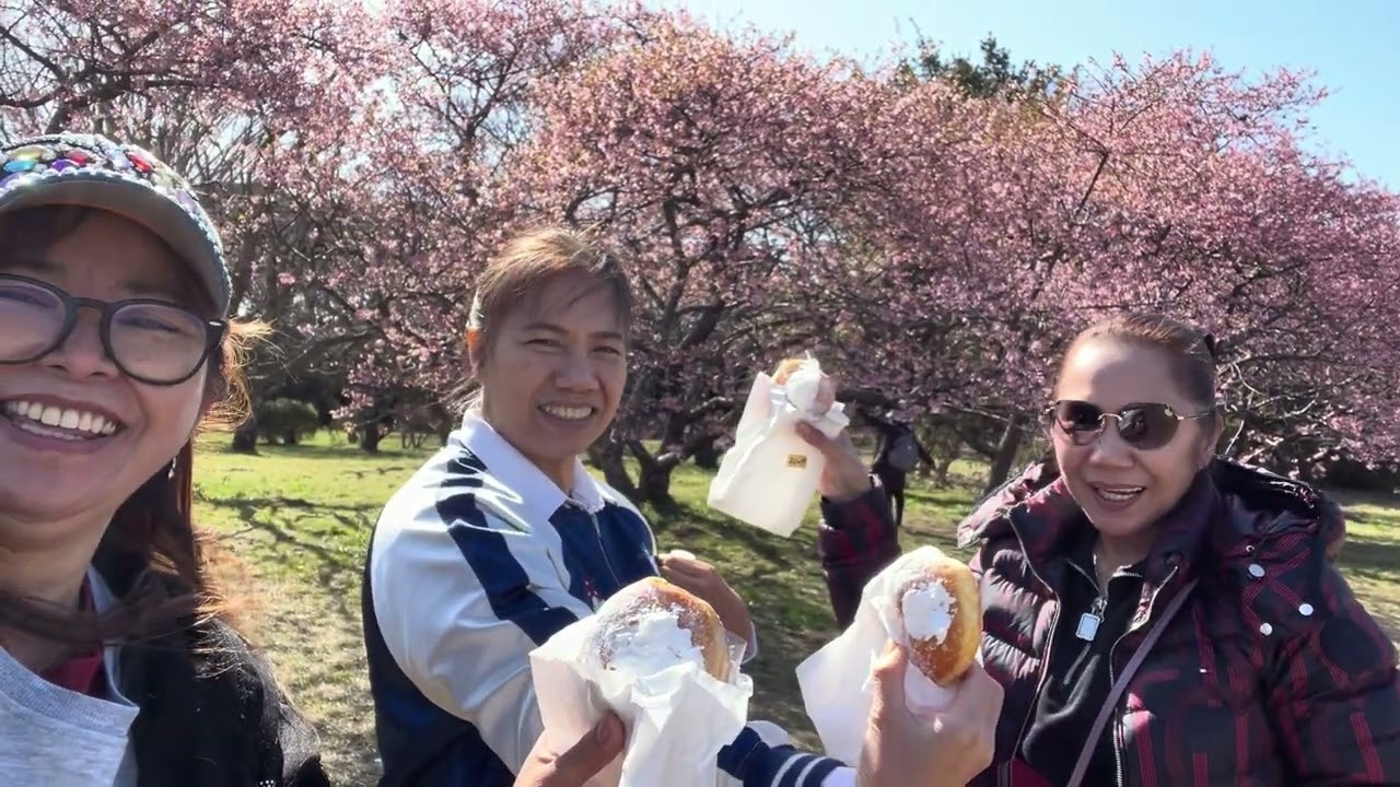 Picnic at Kawazu Sakura tree 