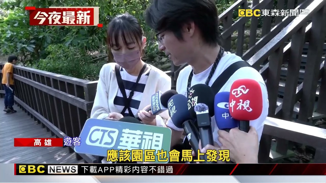 壽山動物孔雀全躺平 遊客急忙通報「全掛掉了」？@newsebc