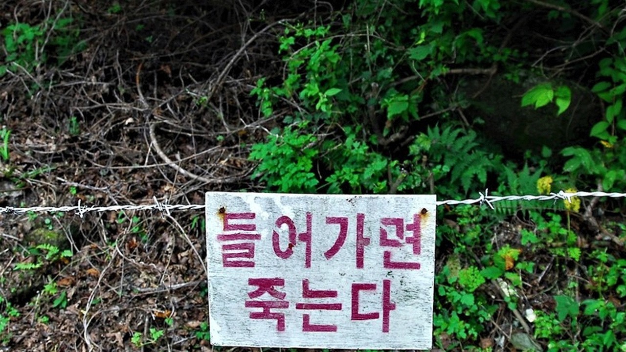 소름돋는 표지판 월드컵