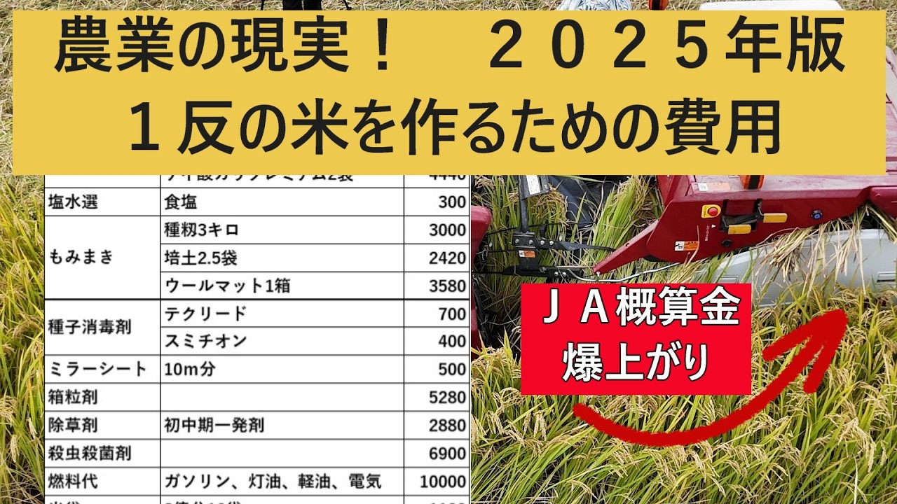 【２０２５年版　田んぼ１反にかかる経費】ＪＡ価格高騰のため再編集