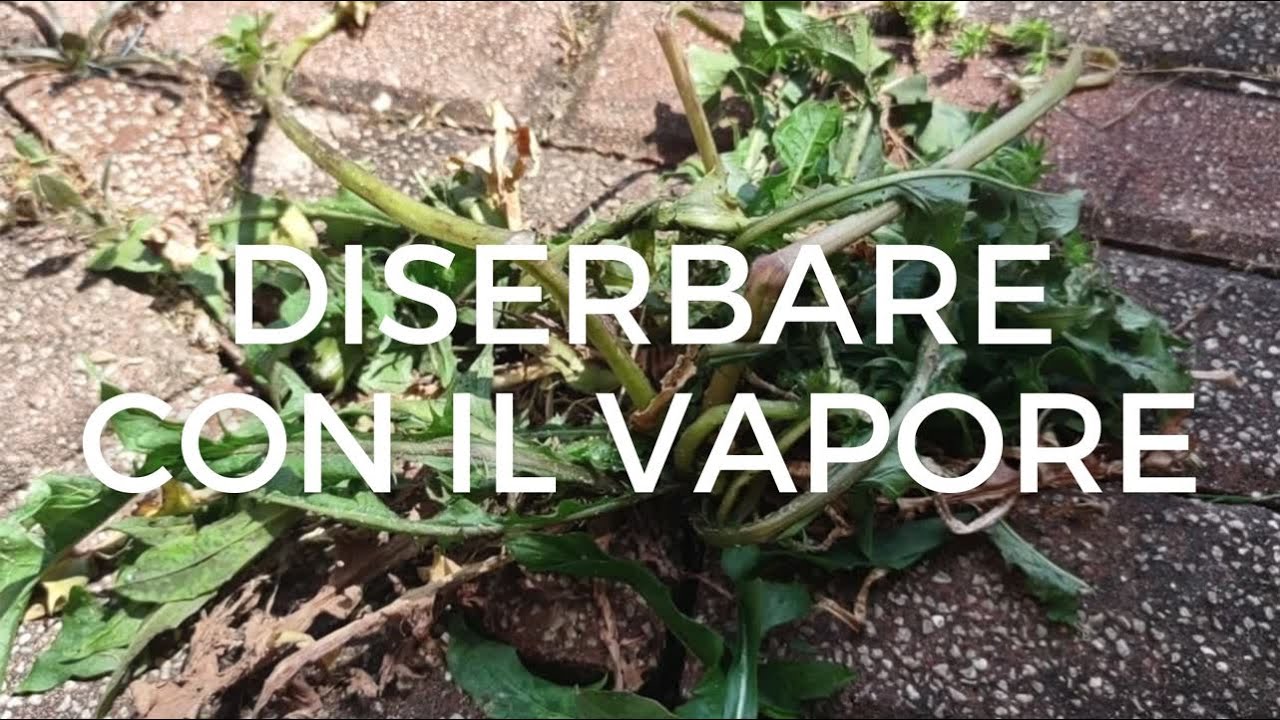 Il diserbo ecologico &egrave; con il vapore!