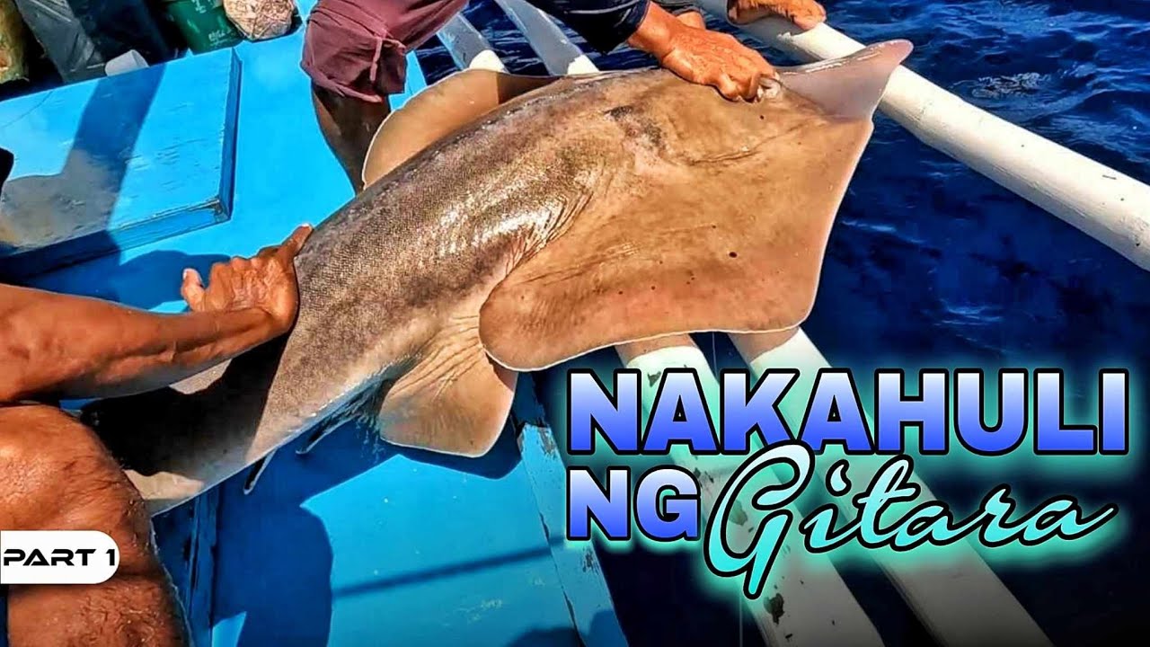 P1-NAKAHULI NG GITARA? - EP1324