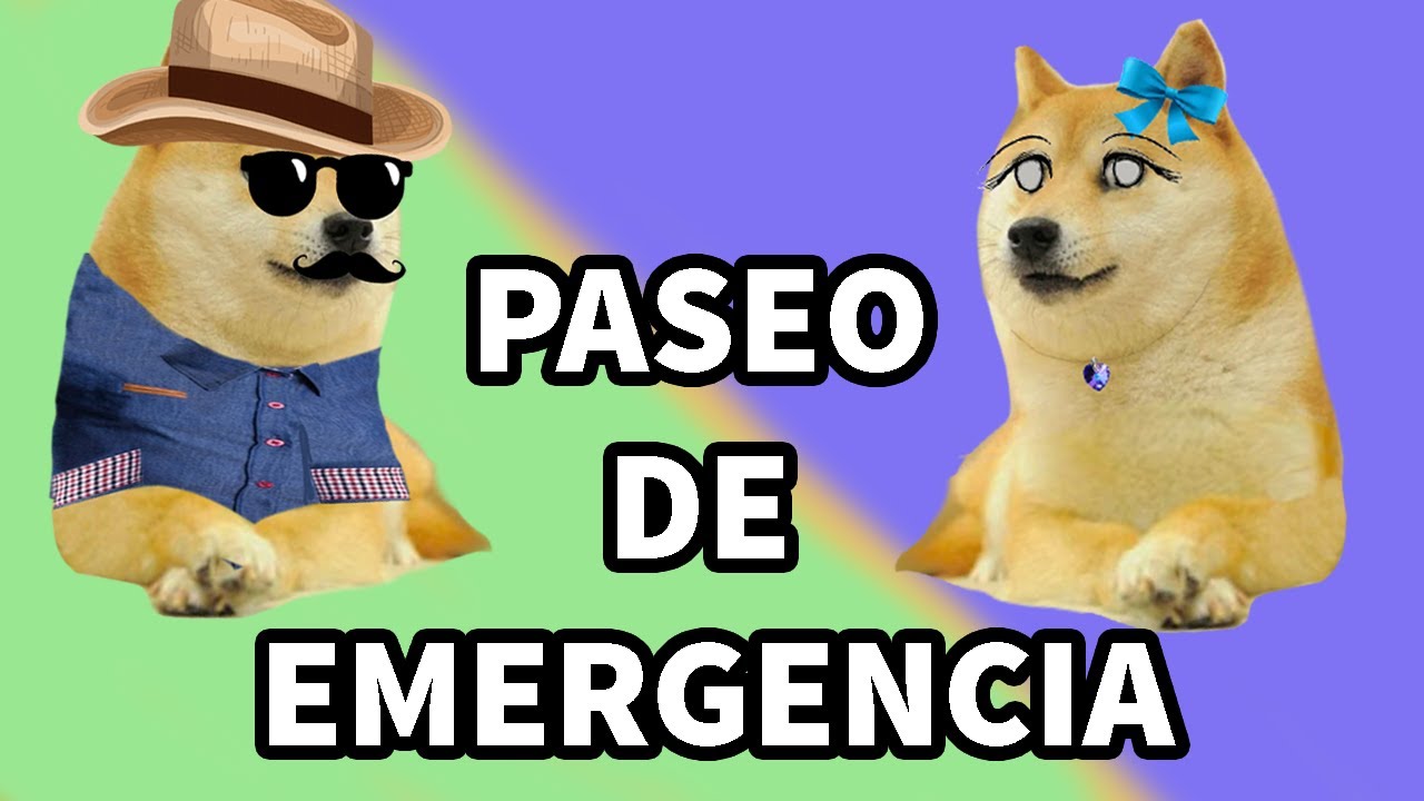 CASI MUERO/ Hilos con cheems