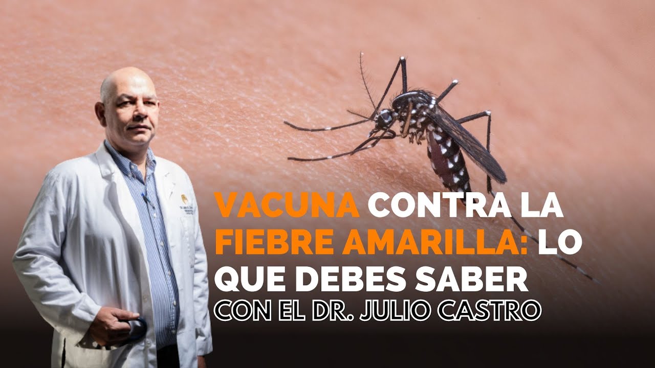 Vacuna contra la fiebre amarilla: lo que debes saber || Parte Médico con el Dr. Julio Castro