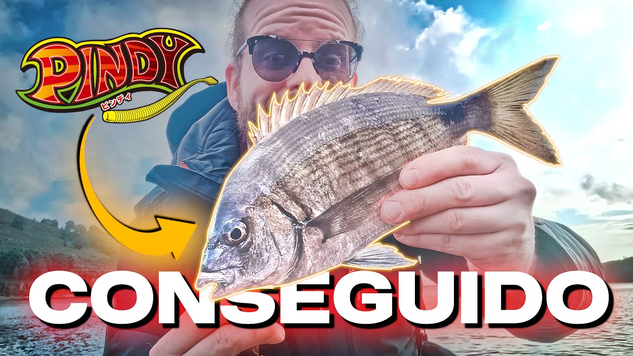 INSISTO Y CAPTURO UNO DE MIS PECES FAVORITOS