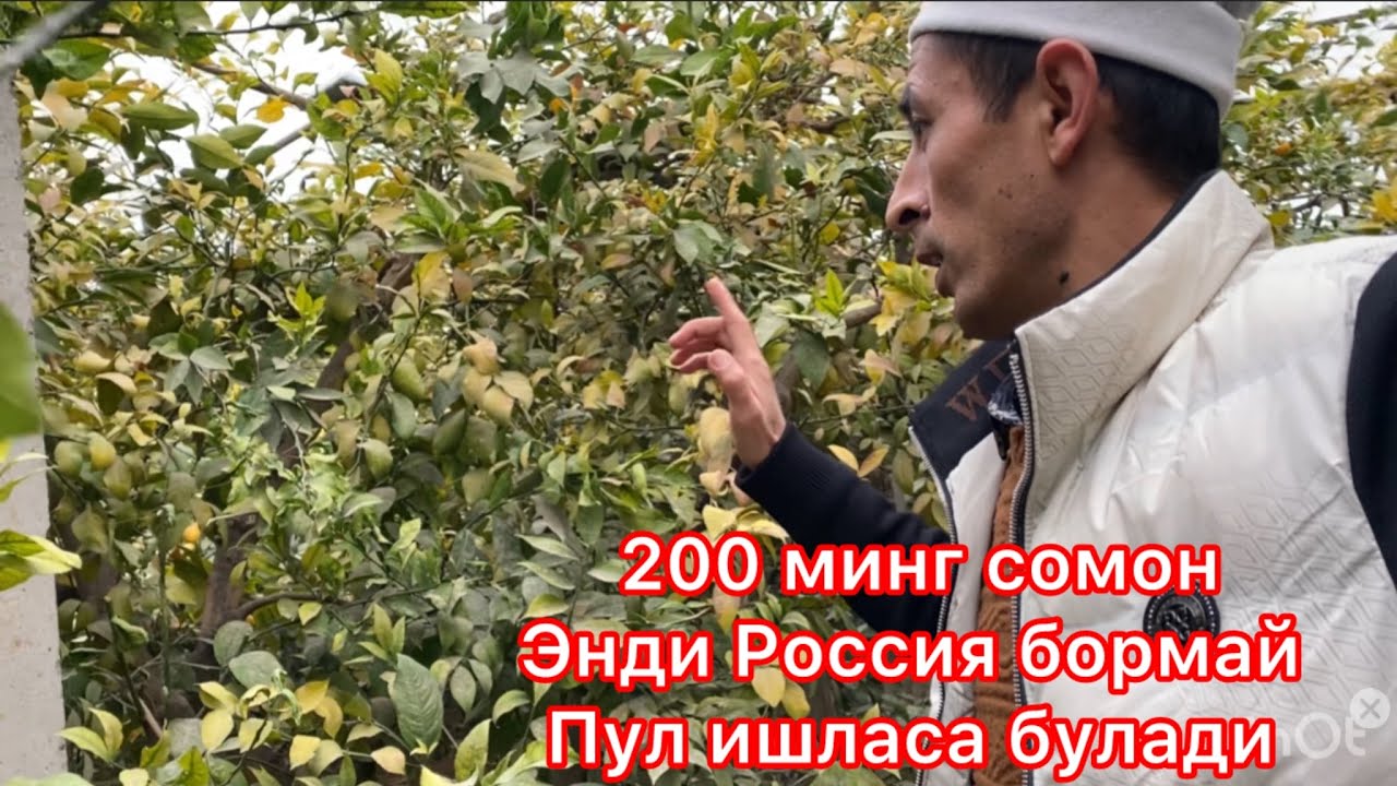 ￼ Россияга бормай 200 минг сомон ишласа булади
