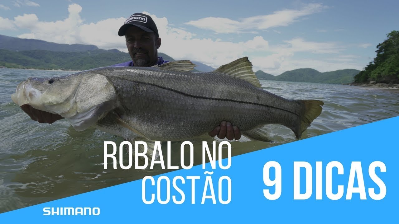 9 dicas para pescar robalões na costeira