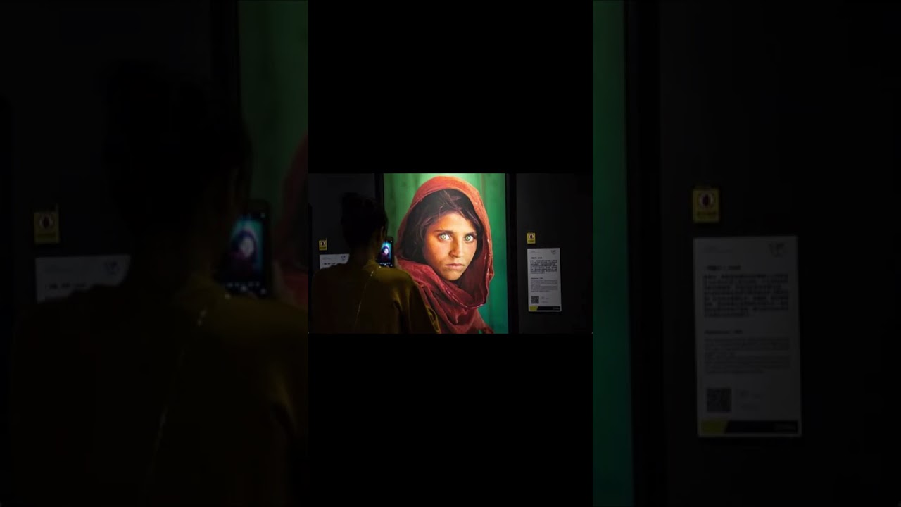 Afghan Girl' from National Geographic magazine cover granted refugee status in Italy