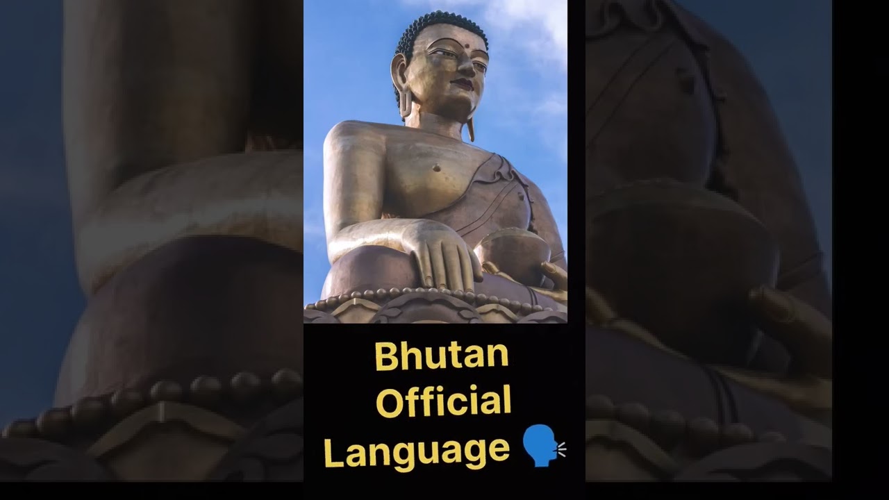 Bhutan Official Language 🗣️🗣️🗣️.  #malayalam #shorts #youtubeshorts