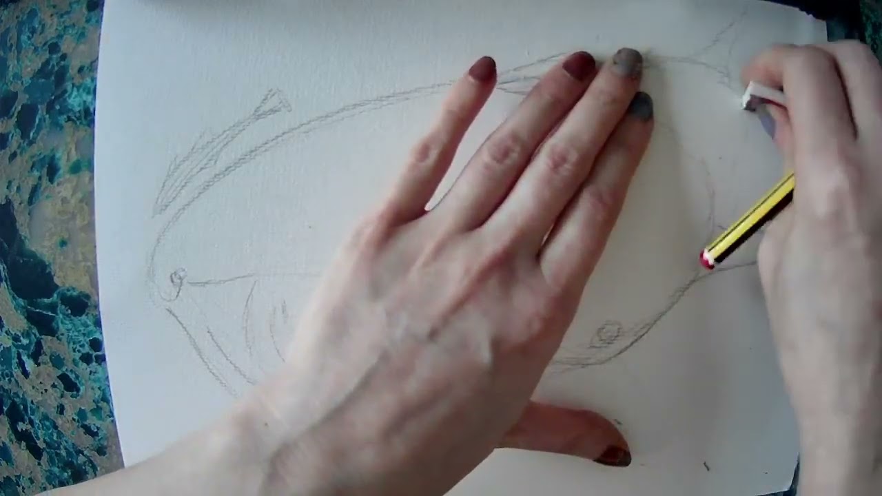Drawalong with Pip - Whale Shark