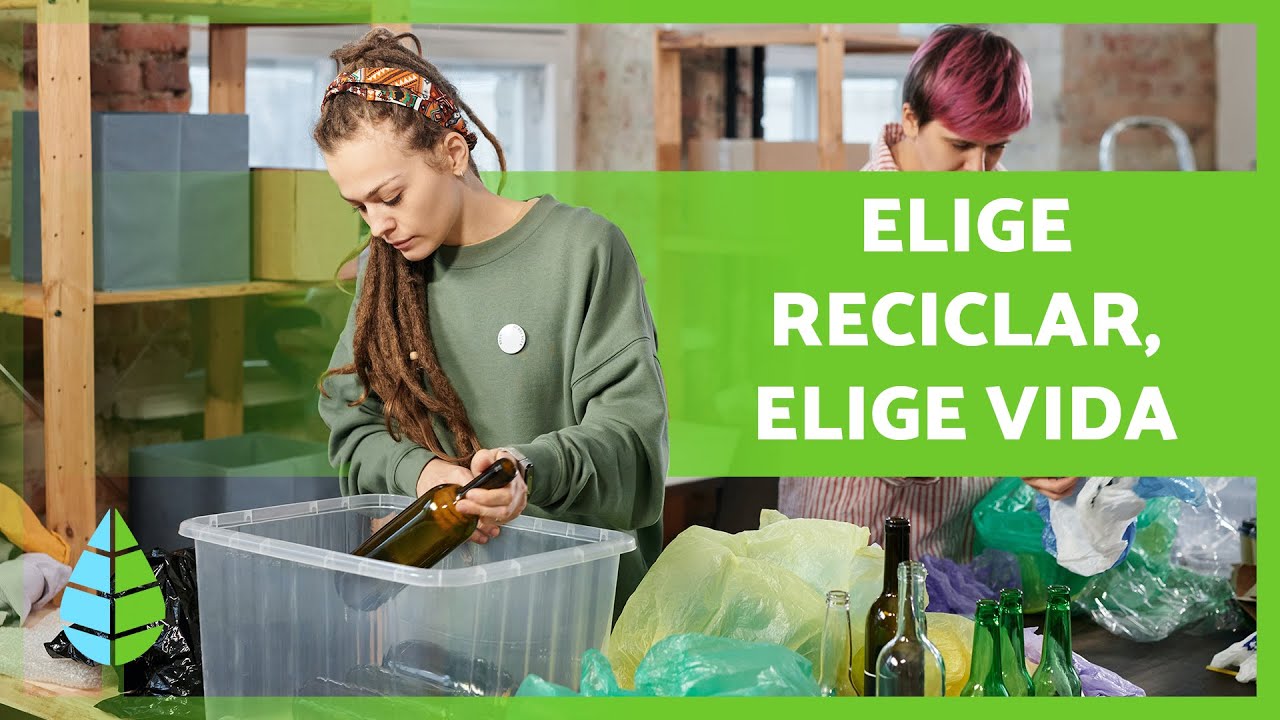 La IMPORTANCIA de RECICLAR para el MEDIO AMBIENTE ♻️🌏