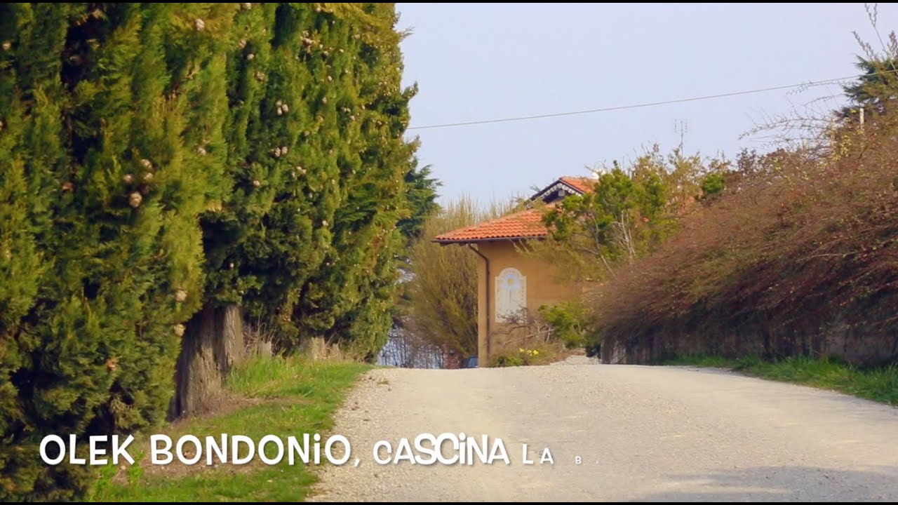 Olek Bondonio 2016
