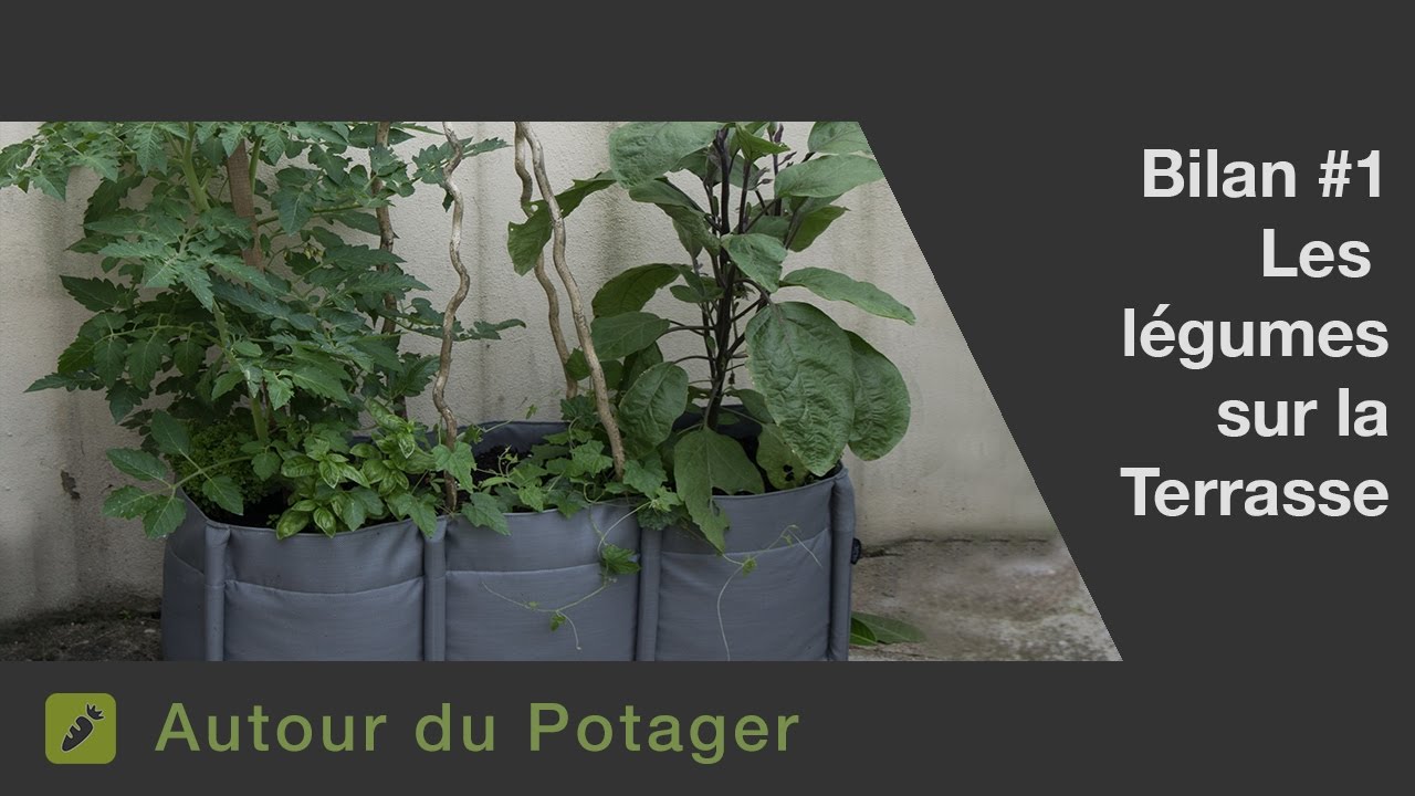 Bilan #1 - Des l&eacute;gumes sur la terrasse
