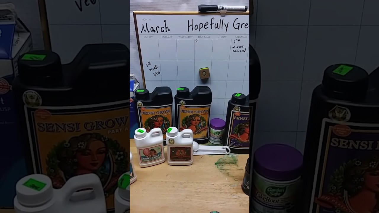 Intro to Hopefully Green