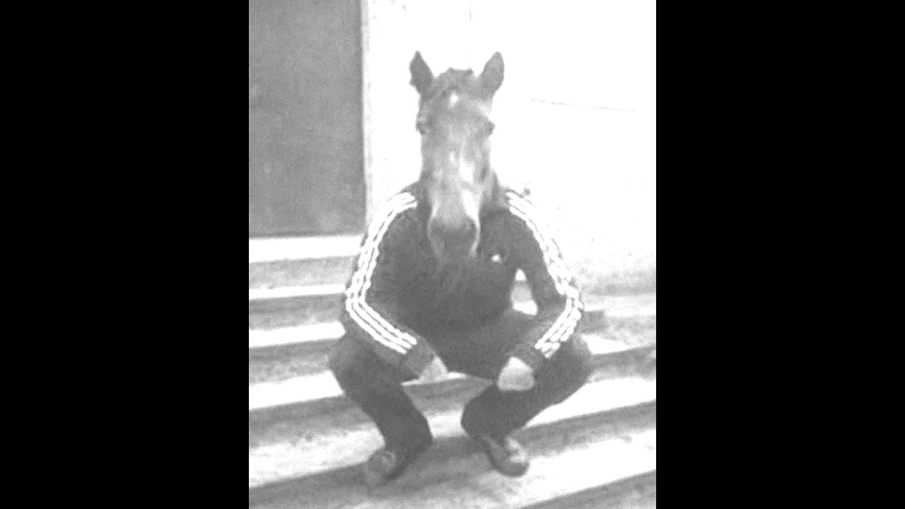 Лошадь