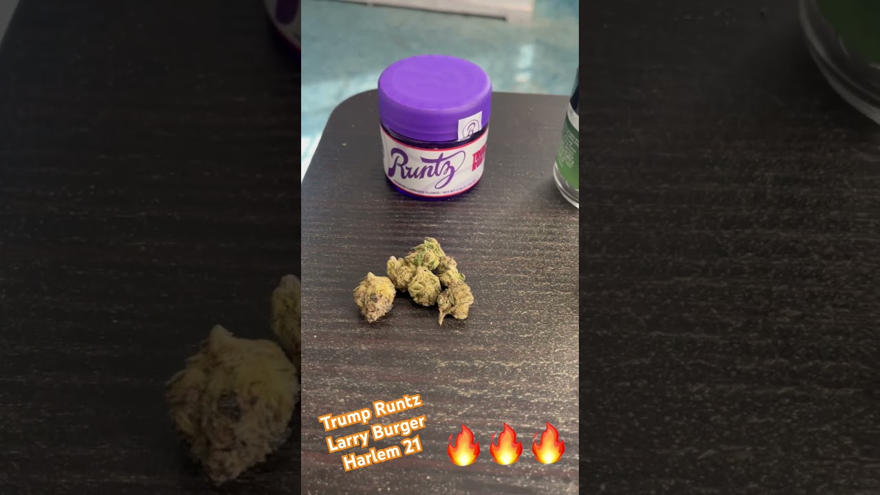 Runtz -Trump Runtz , Matter- Larry Burger ,So Dope -Harlem 21 (Strain Review )