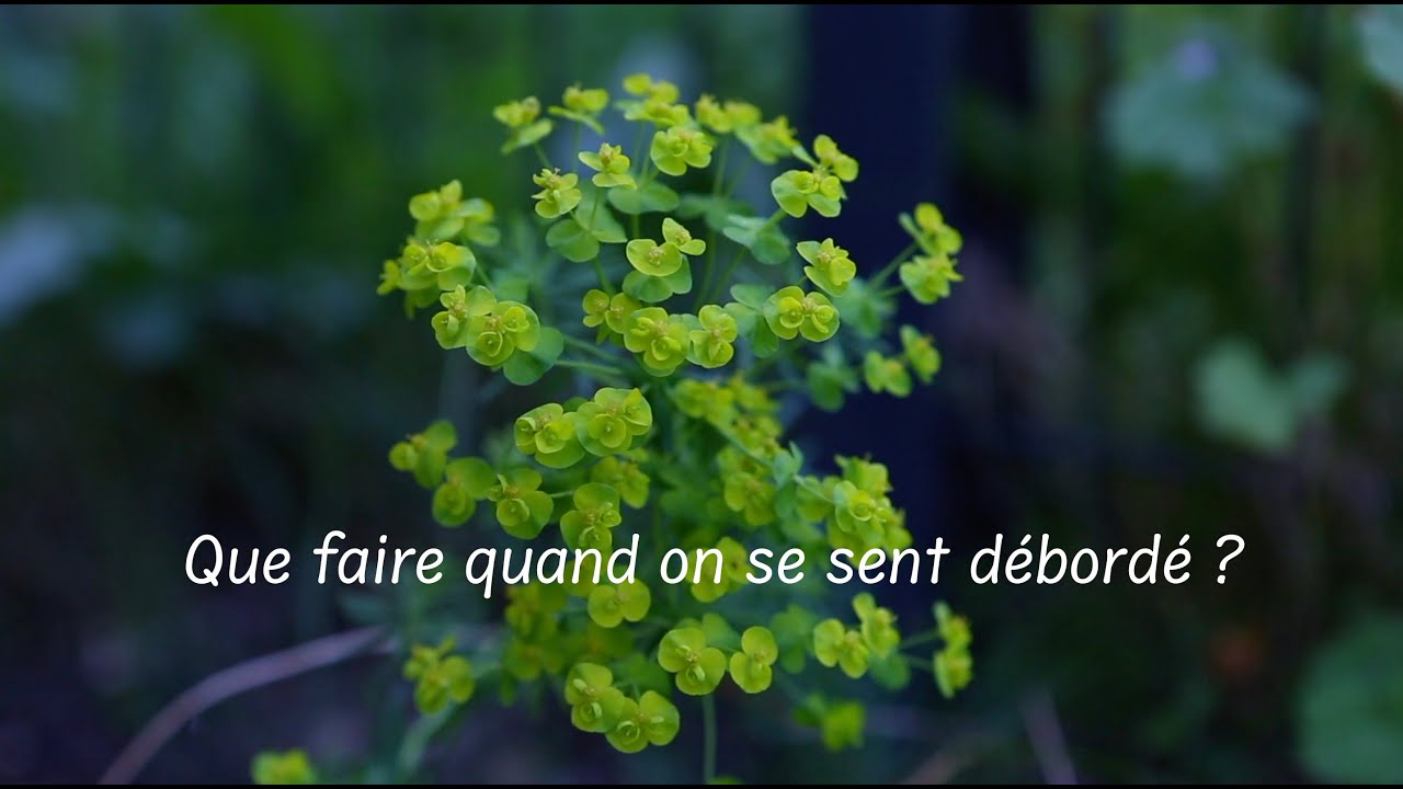La slow-life 🌞🌼 -  un antidote au stress 💫🪷