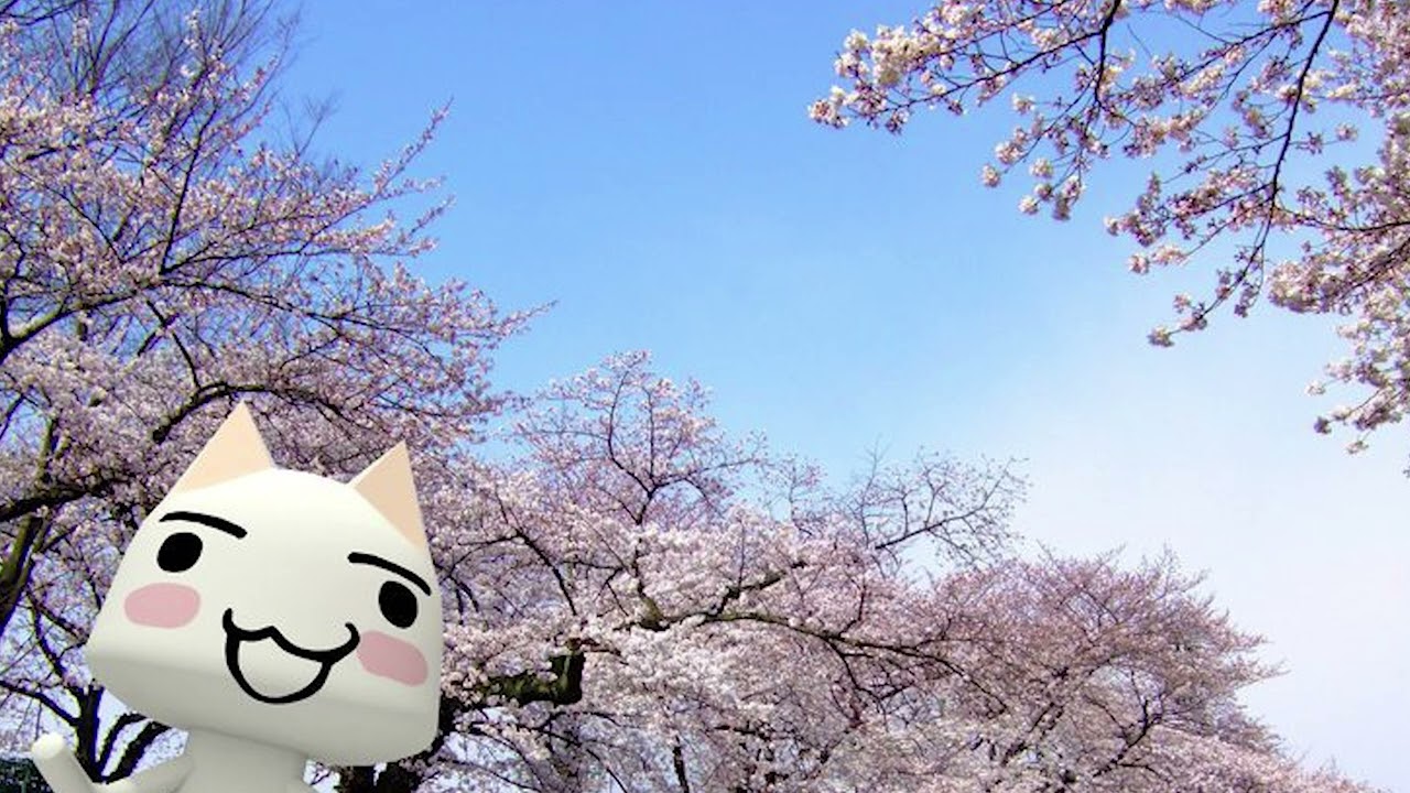 [no copyright music] 'cherry blossom' cute vlog music