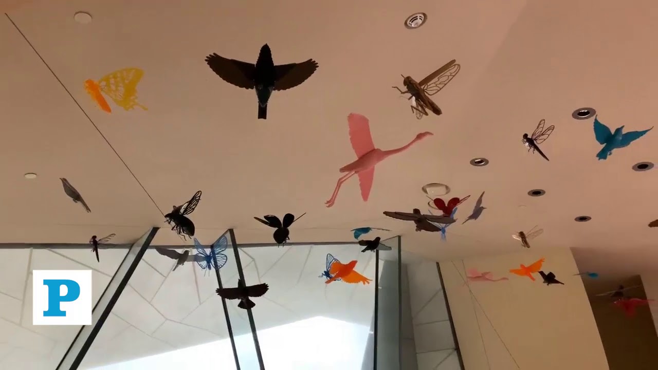 Tour inside National Museum of Qatar