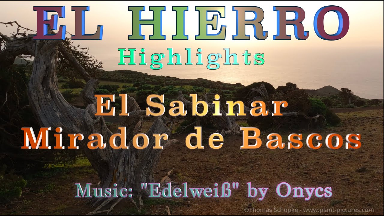 EL HIERRO Highlights: El Sabinosa - Mirador de Bascos - Mirador de Sabinosa