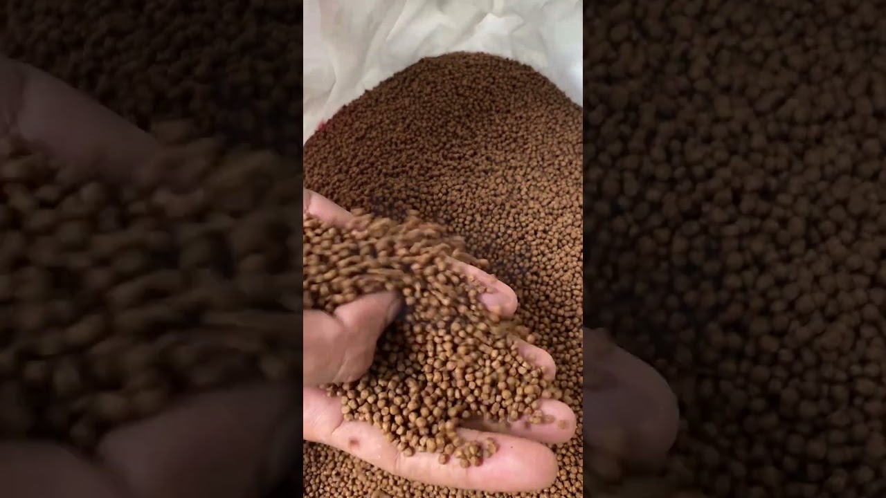781-2 Pelet Ikan Lele Andalan Ternak&trade;