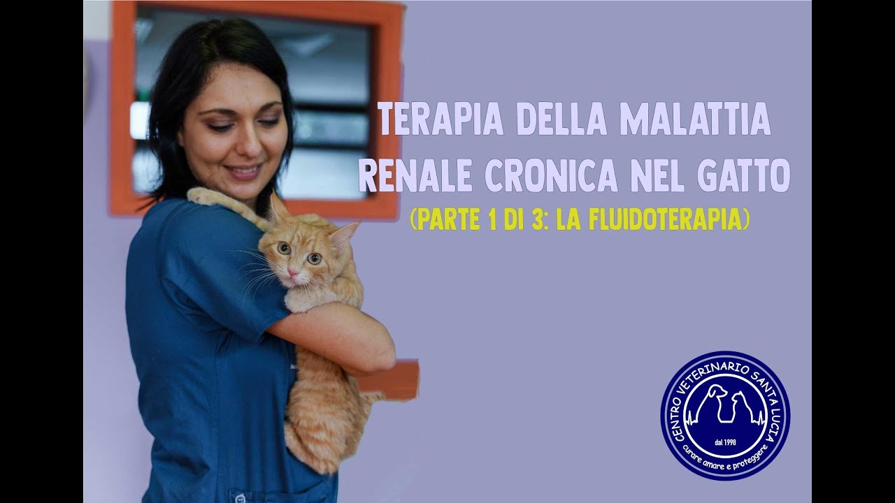 118 - TERAPIA DELLA MALATTIA RENALE CRONICA NEL GATTO (parte 1 di 3: la fluidoterapia)