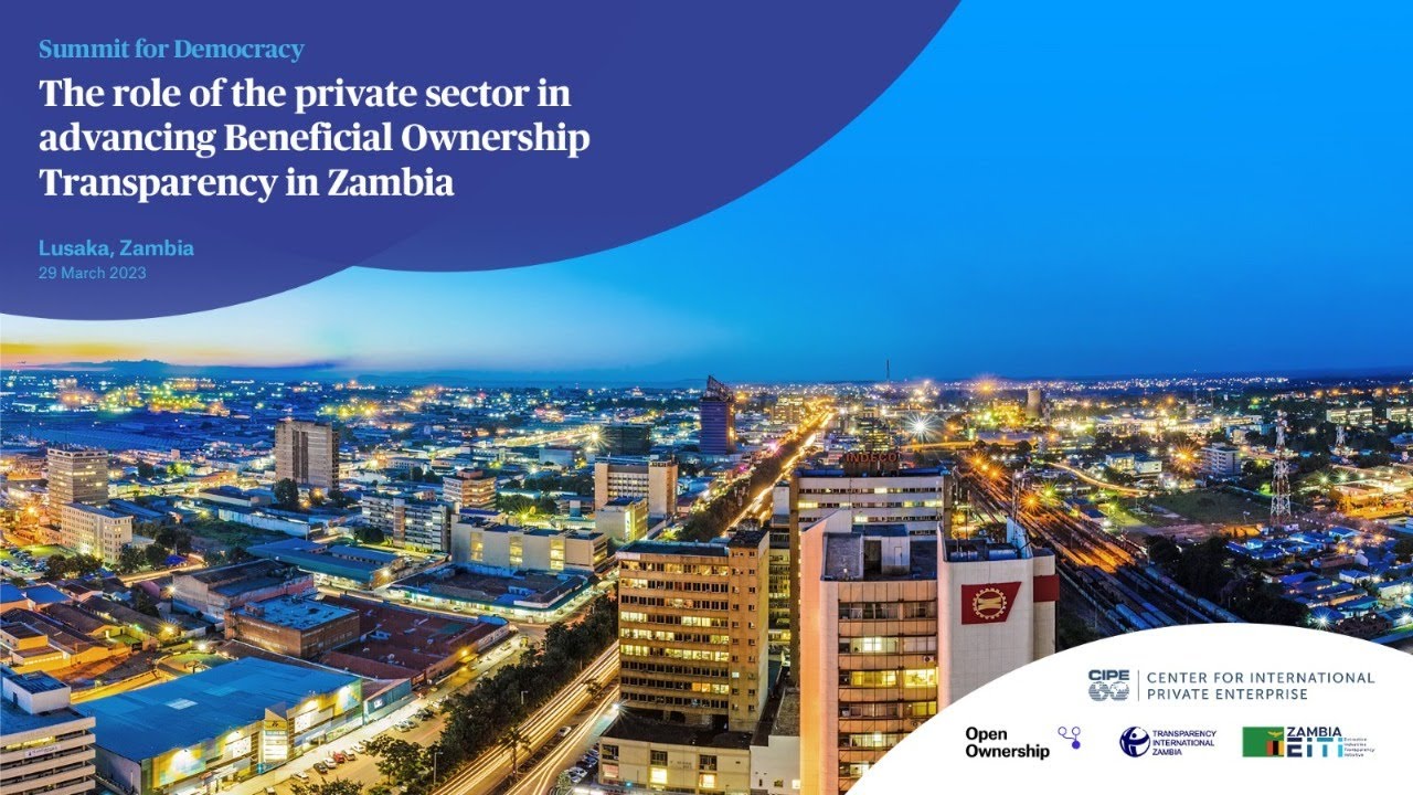 Private Sector's Role in Beneficial Ownership Transparency Reforms