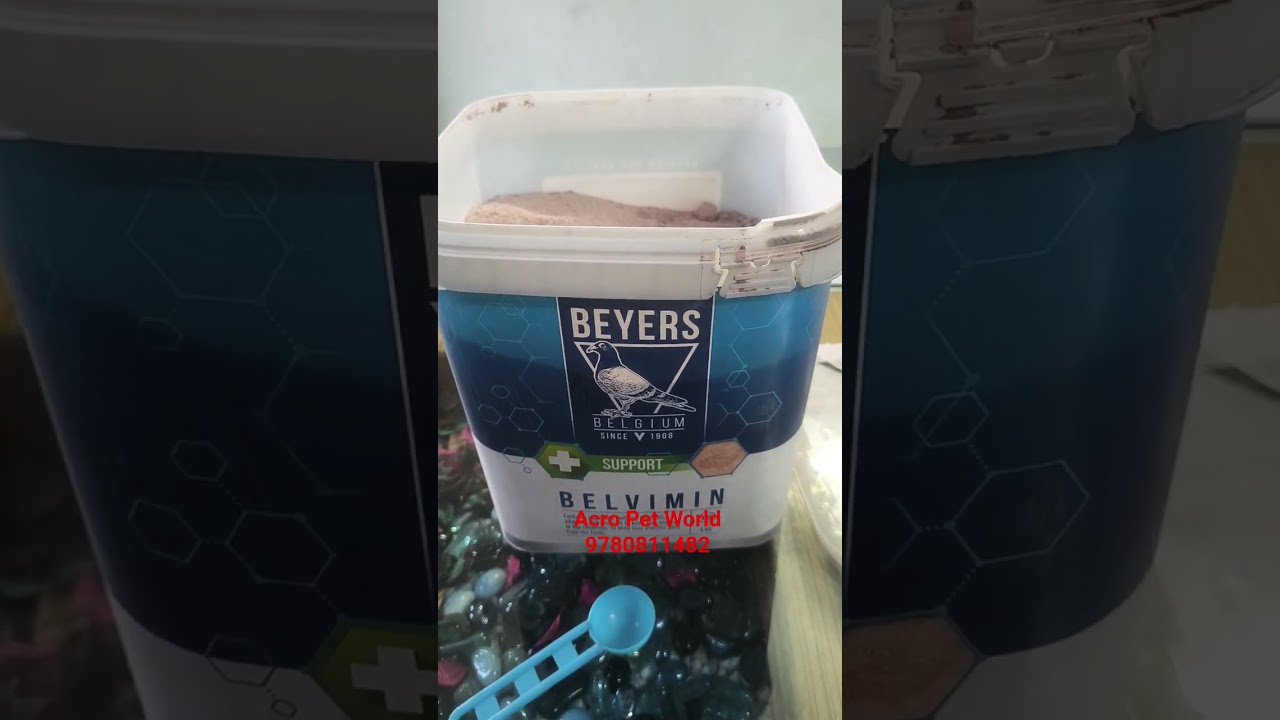 Beyers Belvimin plus support supplement for Pigeons 