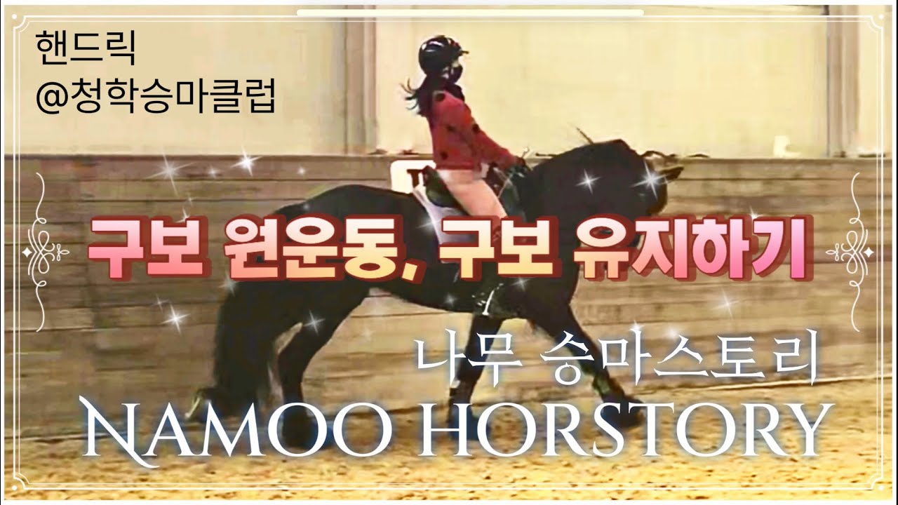 [나무 승마스토리] 청학승마클럽 | 핸드릭 | 구보원운동과유지하기 | 안쪽손은방향제시만 | 연결과다리그리고씨팅