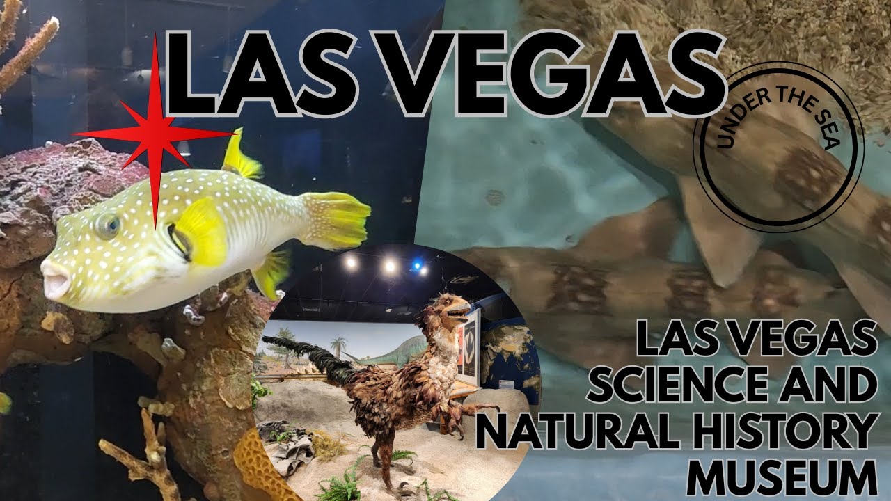 Las Vegas Science and Natural History Museum Part 4 - Under the Sea