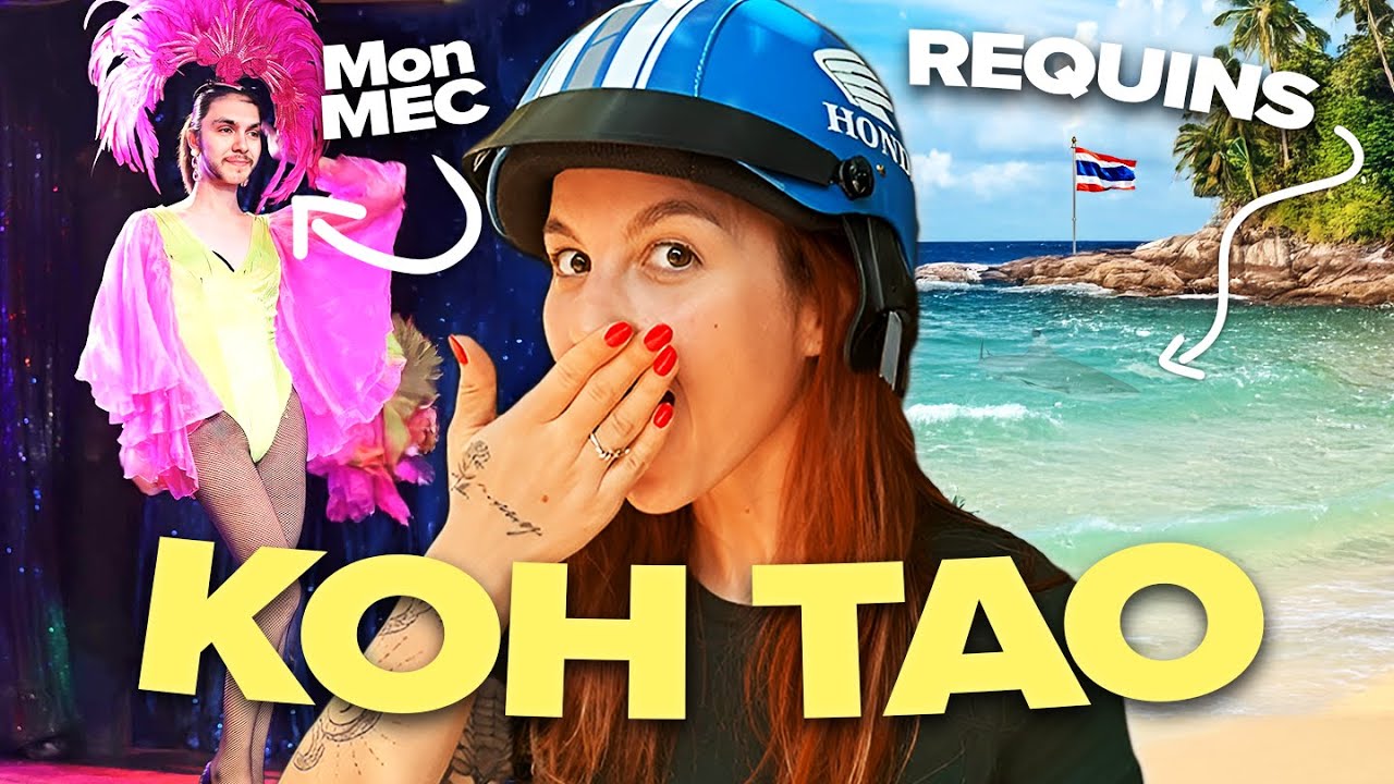 UNE SEMAINE de FOLIE à KOH TAO 🌴 (Requins, Villa de Luxe & Spots de Rêve !) 😱