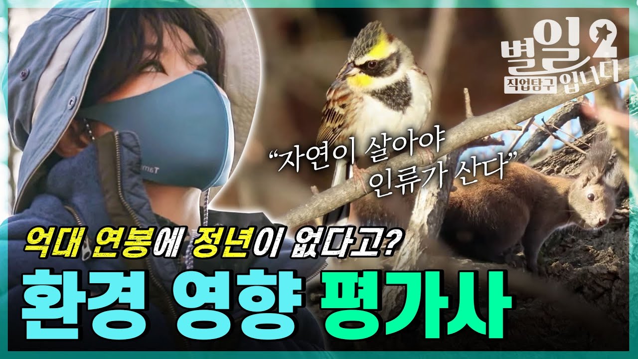 직업탐구- 별일입니다 - 환경 영향 평가사 김지연