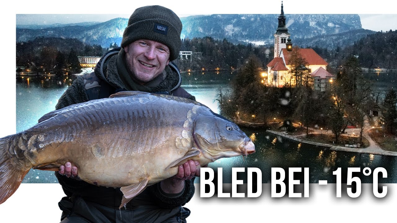 Karpfenangeln im Winter | 25KG Karpfen bei -15 Grad am Lake Bled (Slowenien)