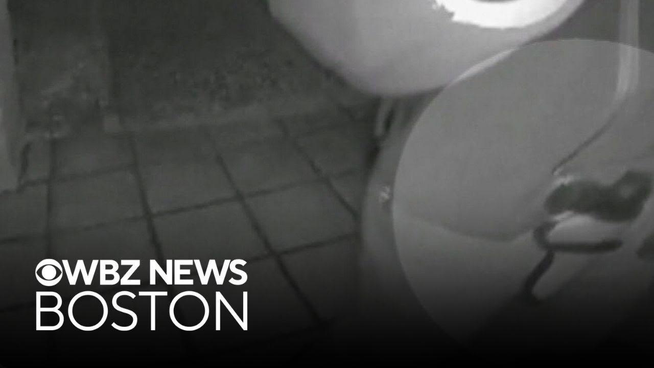 New focus on gun in Guthrie doorbell camera video