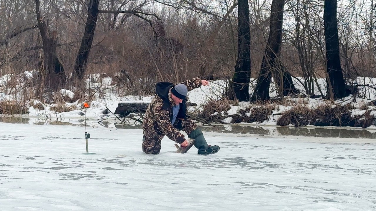 🐠🐟 ДОЖДЬ ЗАКОНЧИЛСЯ И КЛЕВ НАЧАЛСЯ! ЖЕРЛИЦЫ НА РЕКЕ / СЕВЕРСКИЙ ДОНЕЦ 2026 🐠🐟