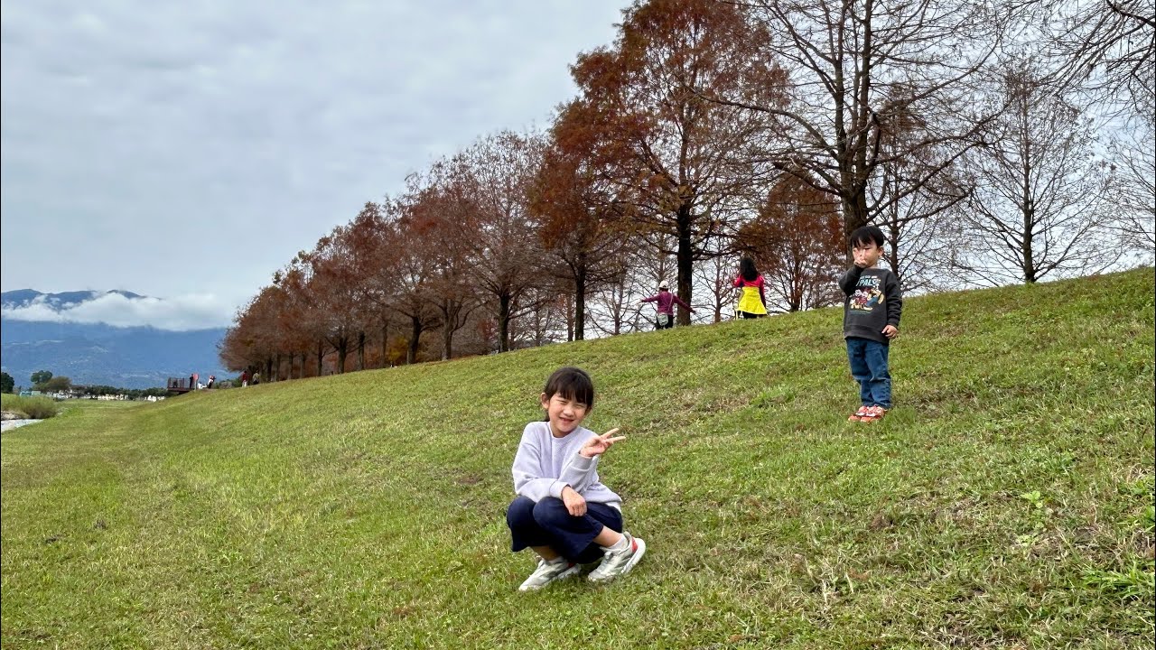 宜蘭落雨松秘境半日遊～115年1月26日
