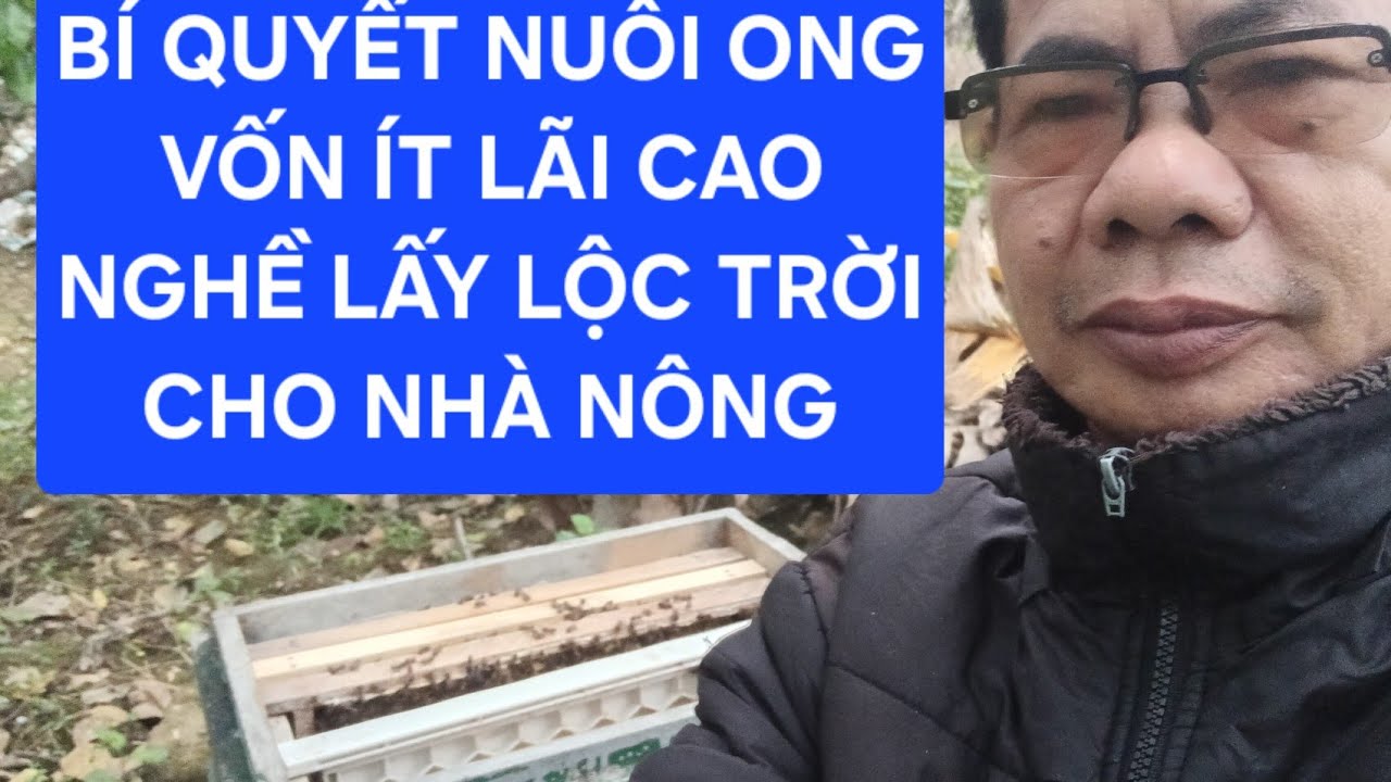 TẠI SAO NUÔI ONG MẬT.MÔ HÌNH CHĂN NUÔI KO TỐN TIỀN CÁM,LỢI NHUẬN BỀN VỮNG.