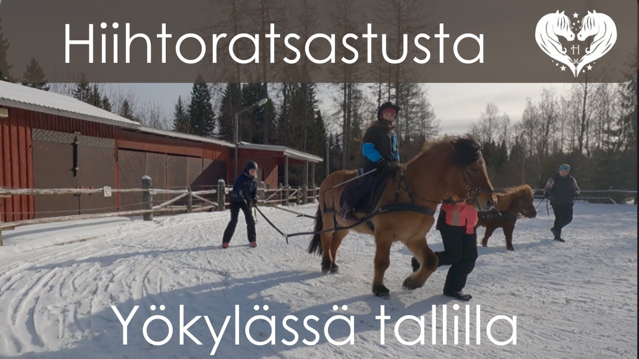 Hiihtoratsastusta ja pulkkailua